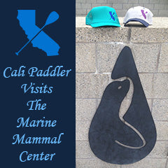 Cali Paddler Visits Marine Mammal Center